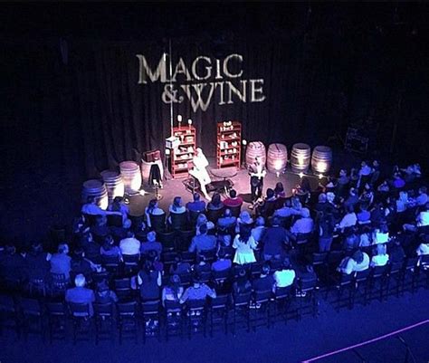 Magic in Motion: The Mesmerizing Performances of David Minkin Magic and Wine